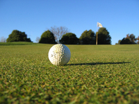 Golf ball rolling on green