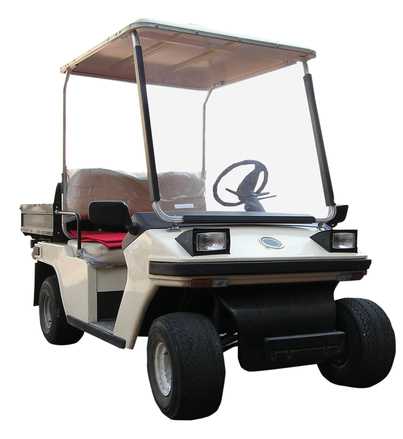 Club Car DS Electric Custom Harley Real Fire Golf Cart