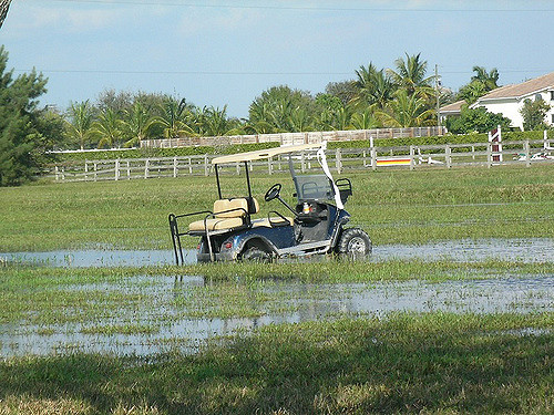 Golf cart stuck in water
