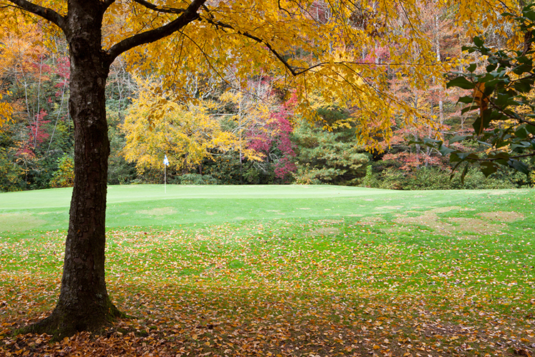 golf course surrounded autumn foliage