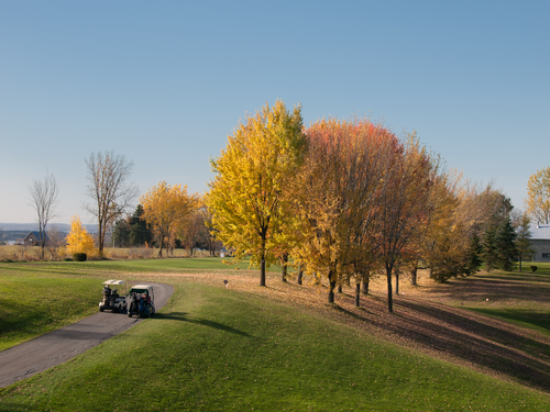 golf in fall with men driving carts to the fairway