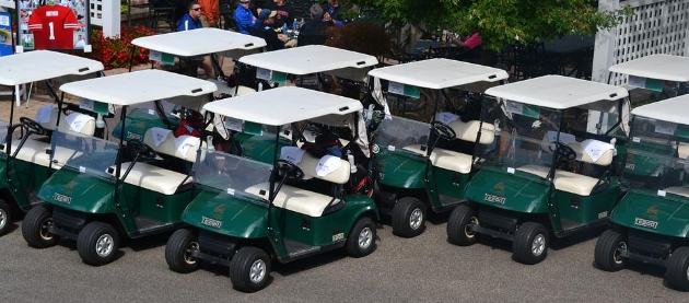 Group of Golf Carts
