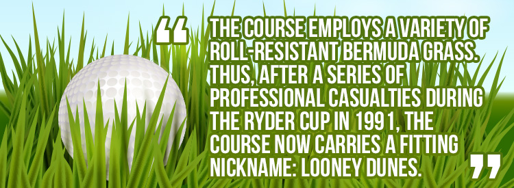 The-Ocean-Course-Quote